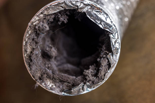 Best Best Air Duct Cleaning Company  in Weed, CA